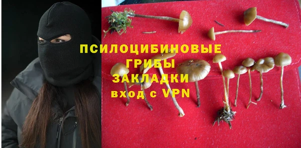 эйфоретик Алзамай