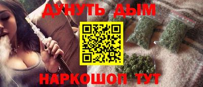 индика Обнинск