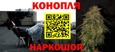 индика Обнинск