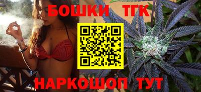 индика Обнинск