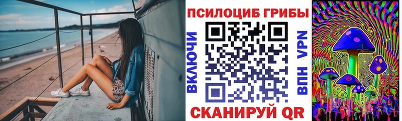 Галлюциногенные грибы прущие грибы  где можно купить наркотик  Сухой Лог 