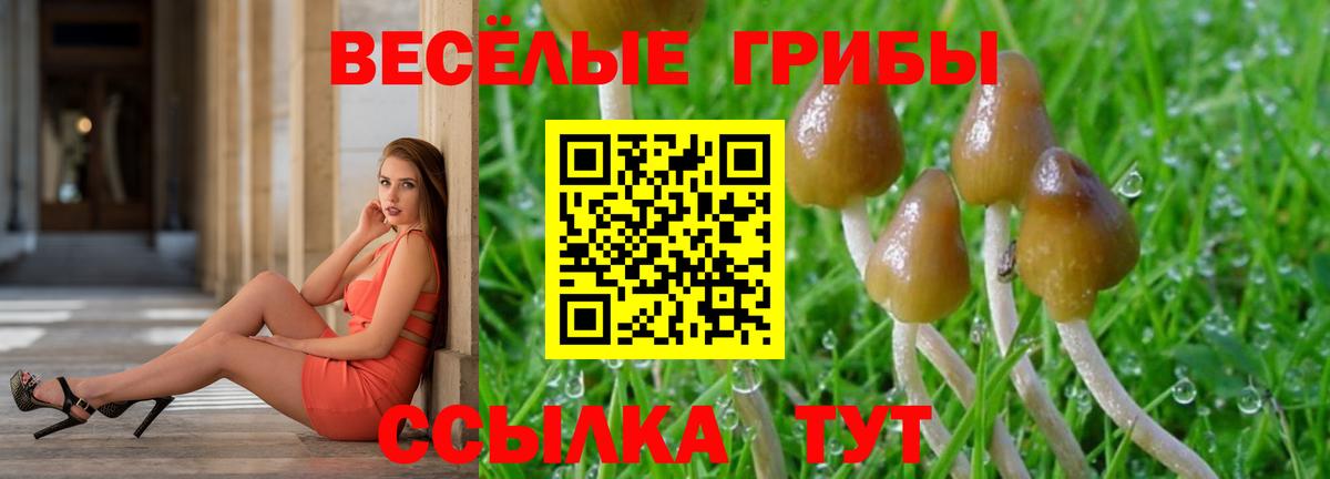 Галлюциногенные грибы Psilocybine cubensis  Вход с VPN  Галлюциногенные грибы Magic Shrooms  Сухой Лог 